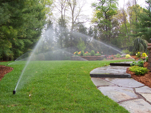 How To Properly Water Your Lawn